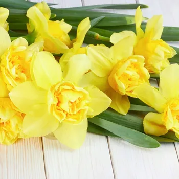 Vonný olej SoyWax Narcis 10 ml 1 ks