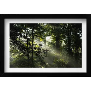 Obraz Obraz v černém rámu nástěnná dekorace Sluneční paprsky a stromy 30x20 cm