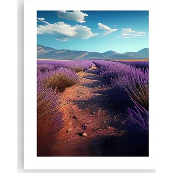 Obraz Obraz plakát na zeď bez rámu 40x50 levandule plakáty do obýváku ložnice