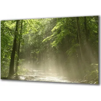 Obraz Obraz na skle Příroda 53301829 100x50
