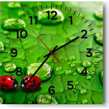 Hodiny Nástěnné hodiny do obýváku 40x40 Natura Tiché hodiny na skle Bez hlučný