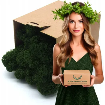 Obraz Sobí mech CHROBOTEK finský ČIŠTĚNÝ Dekorativní ozdobný 100 gramů