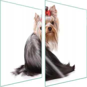 Kuchyňské prkénko Krájecí deska TMK ArtDeko sklo 2 ks