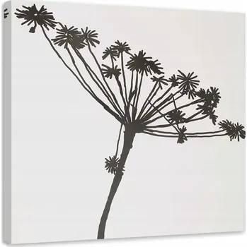 Obraz OBRAZ NA PLÁTNĚ Rostlina Černobílý 40x40