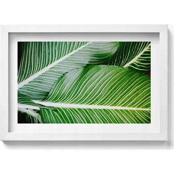 Obraz Obraz v bílém rámu nástěnná dekorace Exotické zelené listy 30x20 cm