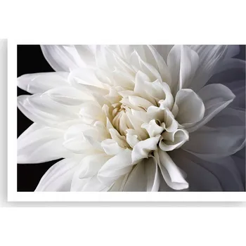 Obraz Obraz plakát do obýváku ložnice 91x61 květina foto plakáty na zeď bez rámu