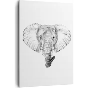 Obraz Obraz na plátně do obýváku ložnice 50x70 zvířata obrazy na zeď canvas