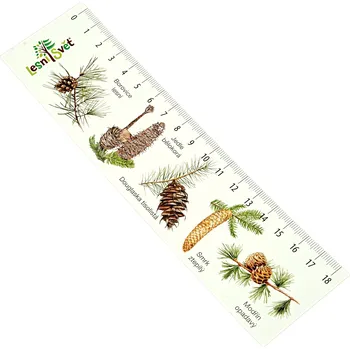 Záložka Lesní svět Papírová záložka s měřítkem - Jehličnany