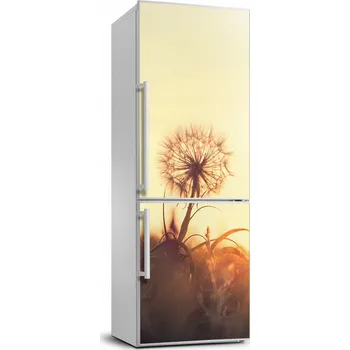 Fototapeta Samolepící nálepka Pampeliška 70x190