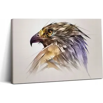 Obraz Obraz Na Plátně do Premium pokoje Královský pták Dravec 30x20 cm