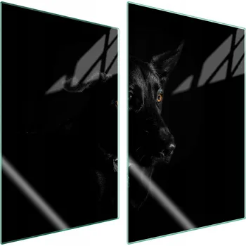 Obraz Krájecí deska TMK ArtDeko sklo 2 ks