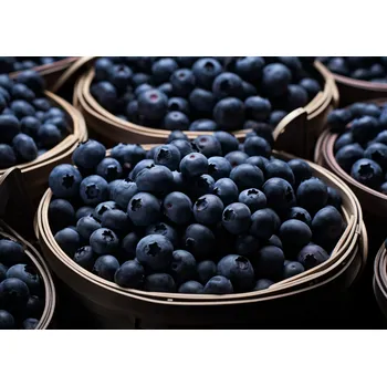 Plakát Plakát Bohatství Chutí bez rámu 29,7 x 21 cm