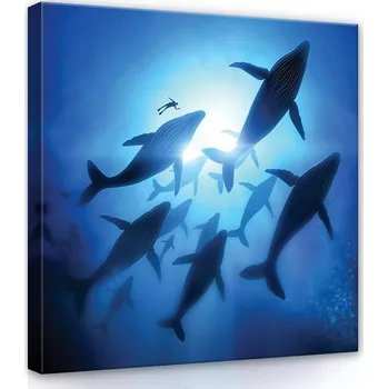 Obraz OBRAZ NA PLÁTNĚ CANVAS 80x80 VELRYBA POTÁPĚČ VODA