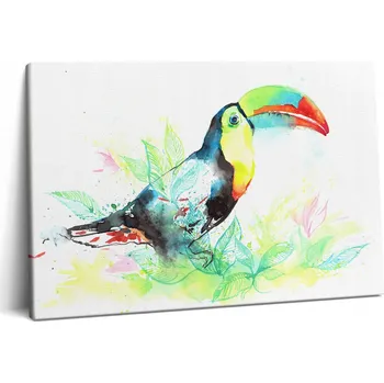 Obraz Fotoobraz Canvas Do Studia Moderní Tukan v Trávě Akvarel 60x40 cm