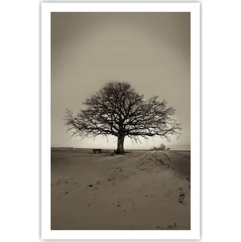 Obraz Obraz plakát do obýváku ložnice 61x91 krajina plakáty na zeď bez rámu