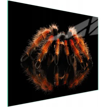 Kuchyňské prkénko Krájecí deska TMK ArtDeko sklo 1 ks