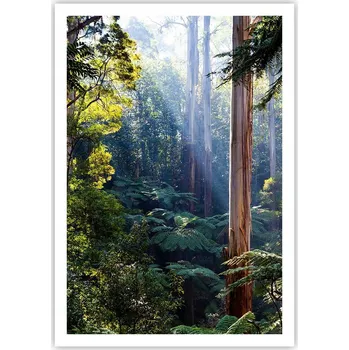 Obraz Plakát na zeď bez rámu 70x100 krajina obraz plakáty do obývacího pokoje ložnice