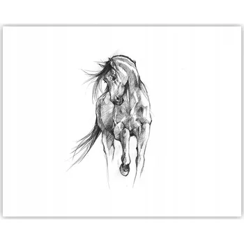 Obraz Obraz plakát na zeď bez rámu 50x40 kůň foto plakáty do obýváku ložnice