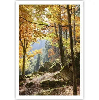 Obraz Plakát na zeď bez rámu 70x100 krajina obraz plakáty do obývacího pokoje ložnice