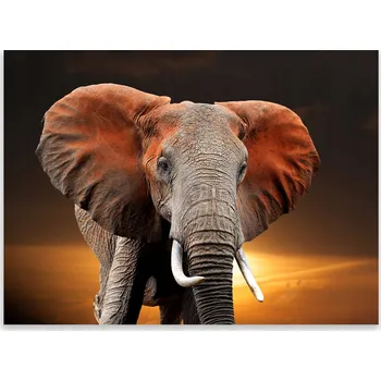 Kuchyňské prkénko Skleněná Ochranná Deska a Krájecí Prkénko | Indukce, Sporák ds-0544