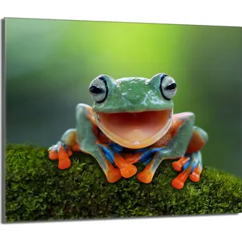 Kuchyňské prkénko Krájecí deska TMK ArtDeko sklo 1 ks