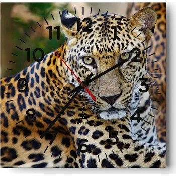 Hodiny Nástěnné hodiny do obýváku 40x40 Zvířata Bezhluczne Skleněné hodiny Tiché