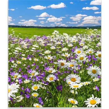 Kuchyňské prkénko Skleněná Ochranná Deska a Krájecí Prkénko | Indukce, Sporák ds-0514