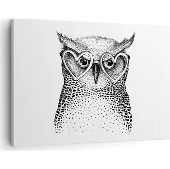 Obraz Obraz na plátně do obýváku, ložnice 70x50 sova foto obrazy na zeď canvas