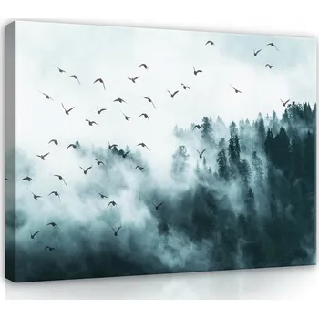 Obraz OBRAZ NA PLÁTNĚ CANVAS 100x75 PTÁCI MLHA LES