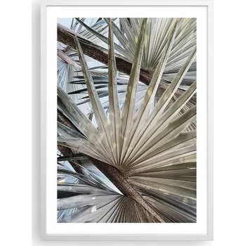 Obraz Plakát v bílém rámu do obýváku ložnice 50x70 palmový list obraz