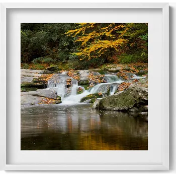 Obraz Dekorace obraz v rámu na zeď Zelená krajina lesního potůčku 50x50 cm