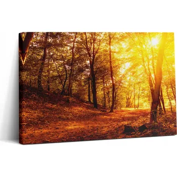 Obraz Fotoobraz s fotografií - Rychlá montáž - Západ slunce podzim, 30x20 cm - do ložnice