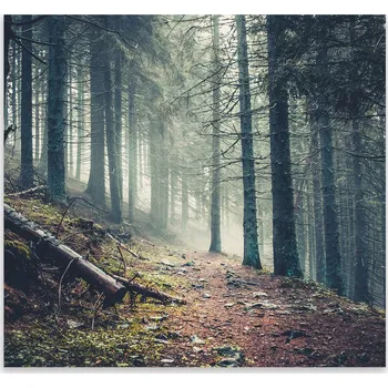 Kuchyňské prkénko Skleněná Ochranná Deska a Krájecí Prkénko | Indukce, Sporák ds-0422