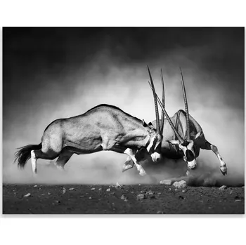 Kuchyňské prkénko Skleněná Ochranná Deska a Krájecí Prkénko | Indukce, Sporák ds-0374