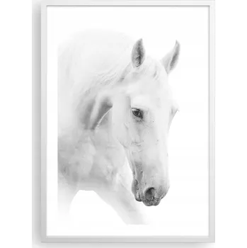 Obraz Plakát v bílém rámu do obýváku ložnice 50x70 koně moderní obraz