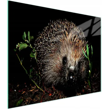 Kuchyňské prkénko Krájecí deska TMK ArtDeko sklo 1 ks