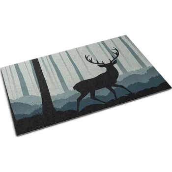 Rohožka Hotová textilní rohožka do interiéru 60 x 40 cm