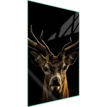 Obraz Krájecí deska TMK ArtDeko sklo 1 ks