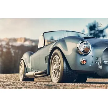 Obraz Cedule AC Shelby Cobra