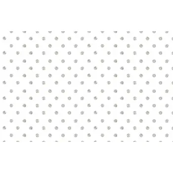 Papír Ozdobný papír 20x29 Cm 10 listů Puntíky stříbrné W01