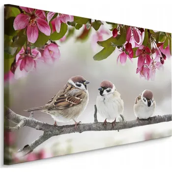 Obraz Obraz do obýváku ptáci vrabci větev příroda 70x50
