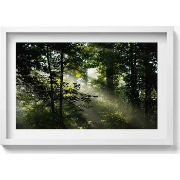 Obraz Dekorativní nástěnný obraz v rámu do obýváku Sluneční paprsky a stromy 60x40 cm