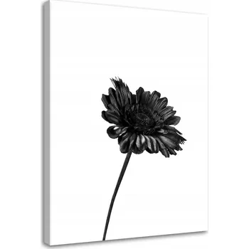 Obraz OBRAZ NA ZEĎ DO KANCELÁŘE Černobílý Květ 60x90