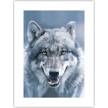 Obraz Obraz plakát do obýváku, ložnice 30x40 vlk foto plakáty na zeď bez rámu