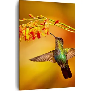 Obraz Obraz na plátně do obývacího pokoje ložnice 50x70 kolibřík obrazy na zeď canvas