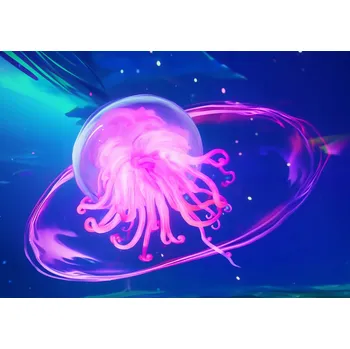 Plakát Plakát Neonová Medúza bez rámu 42 x 29,7 cm