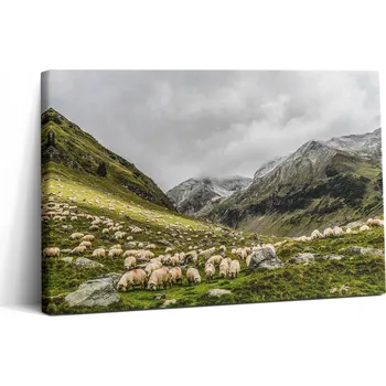 Obraz Fotoobraz do kanceláře - Rychlá montáž - Ovce na louce v horách 30x20 cm