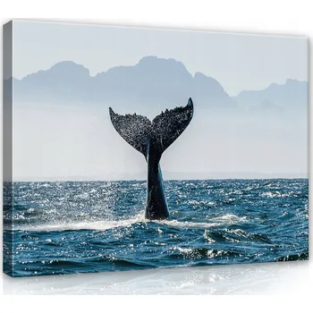 Obraz OBRAZ NA PLÁTNĚ CANVAS 60x40 VELRYBA OCAS VODA
