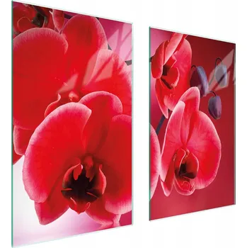 Obraz Krájecí deska TMK ArtDeko sklo 2 ks