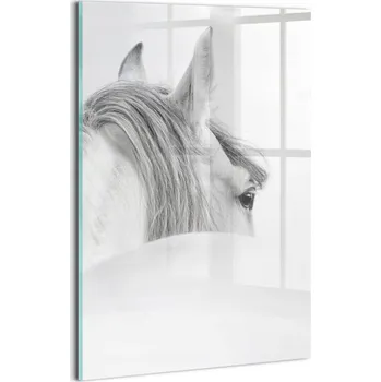 Obraz Foto Obraz na Zeď Sklo Do Posilovny Krásný Potisk Andaluský Kůň v Mlze